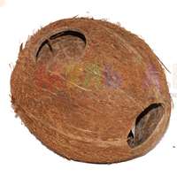 Кокосовый орех с отверстием для изготовления декоративных предметов интерьера